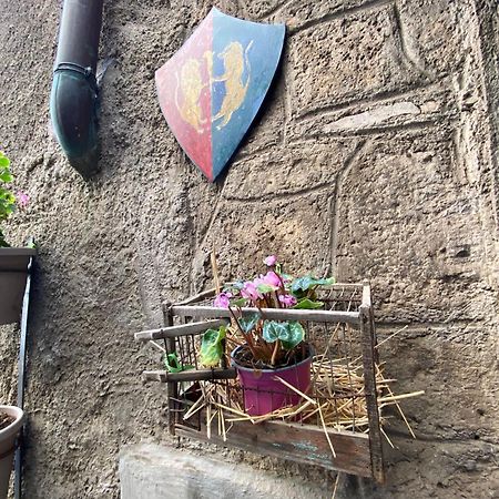 Willa La Torretta Nel Borgo Ronciglione  Zewnętrze zdjęcie